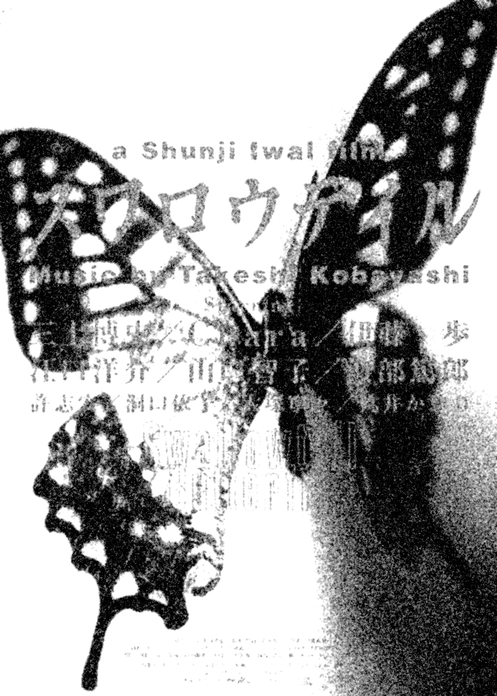 swallow Poster
