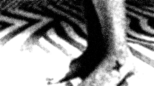 Fragment 2