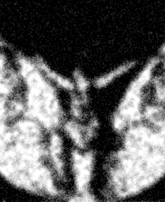 fragment japonais