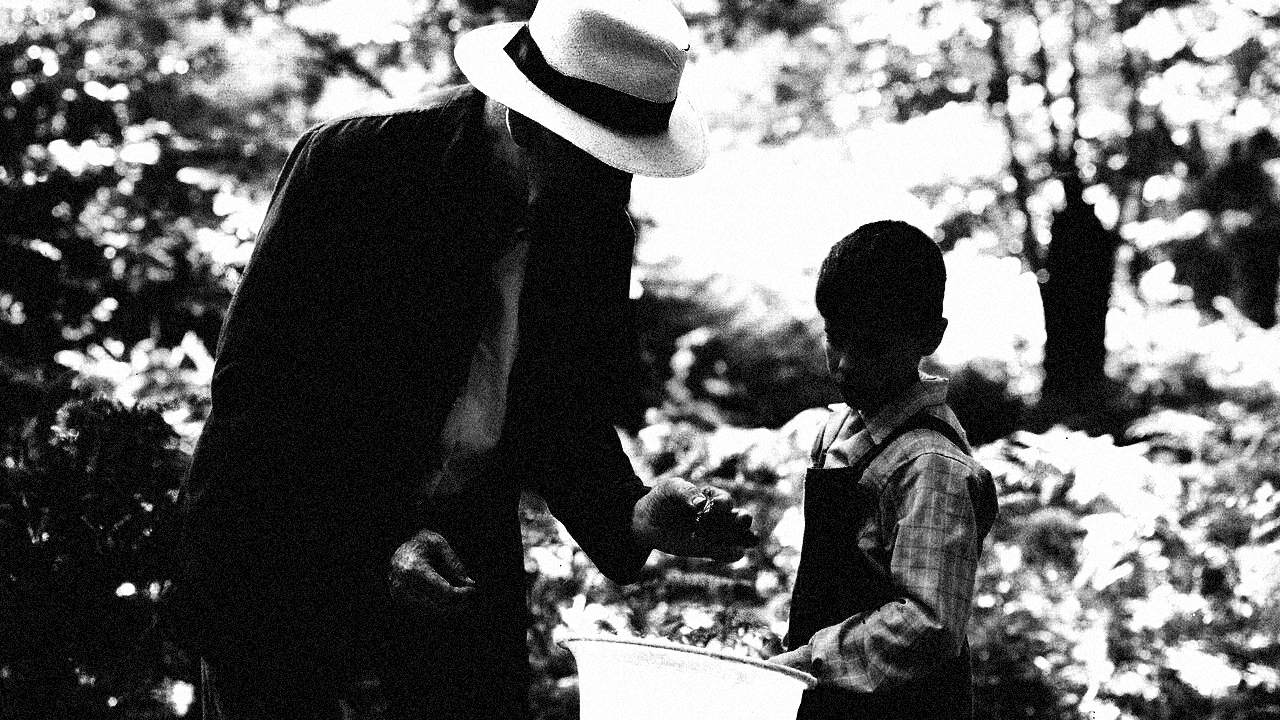 Collector1 Image