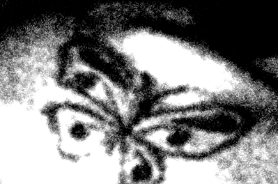 fragment papillon