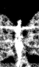 fragment women