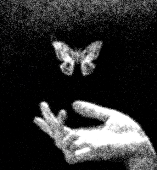 Fragment 1